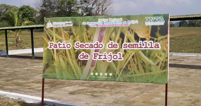 FRIJOL