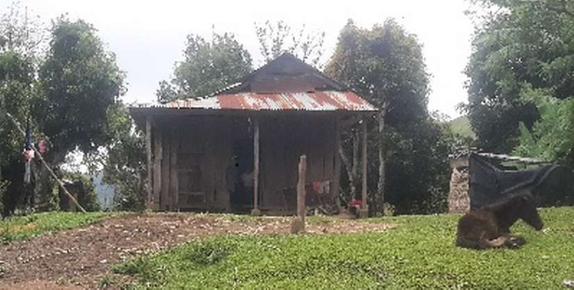 VIVIENDAS