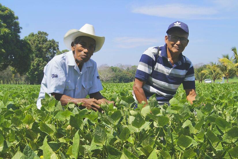 productores