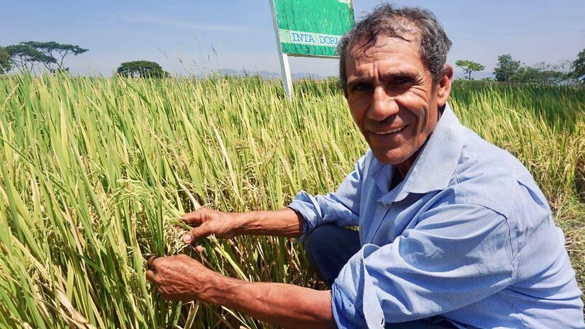 productores