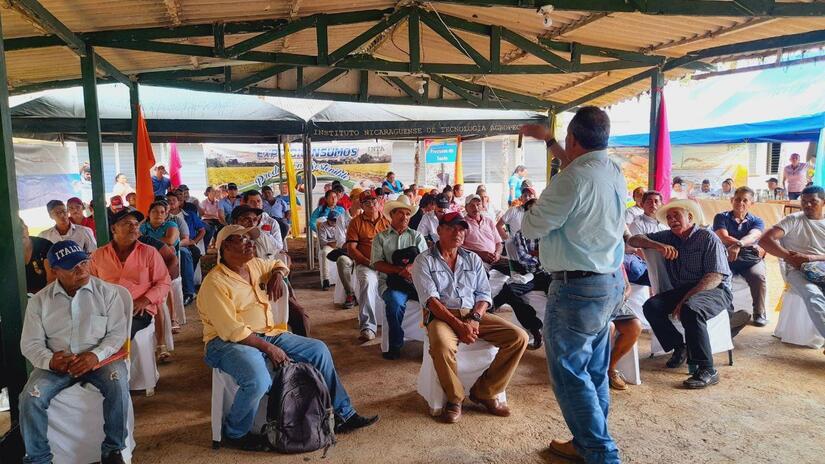 productores