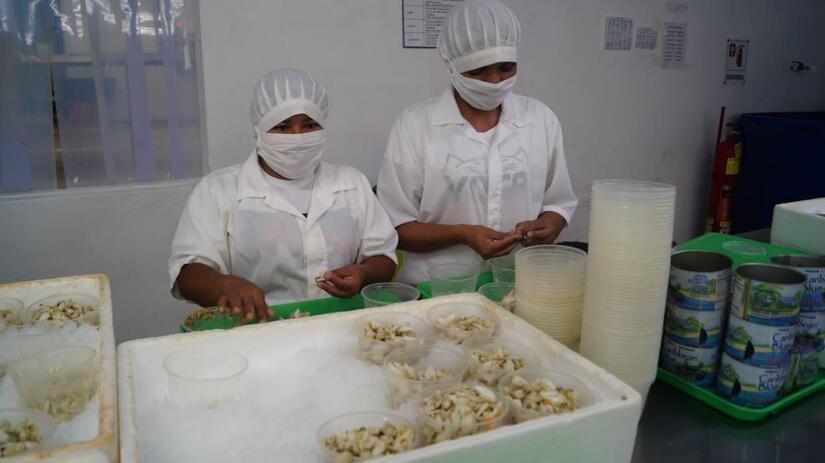 camarones