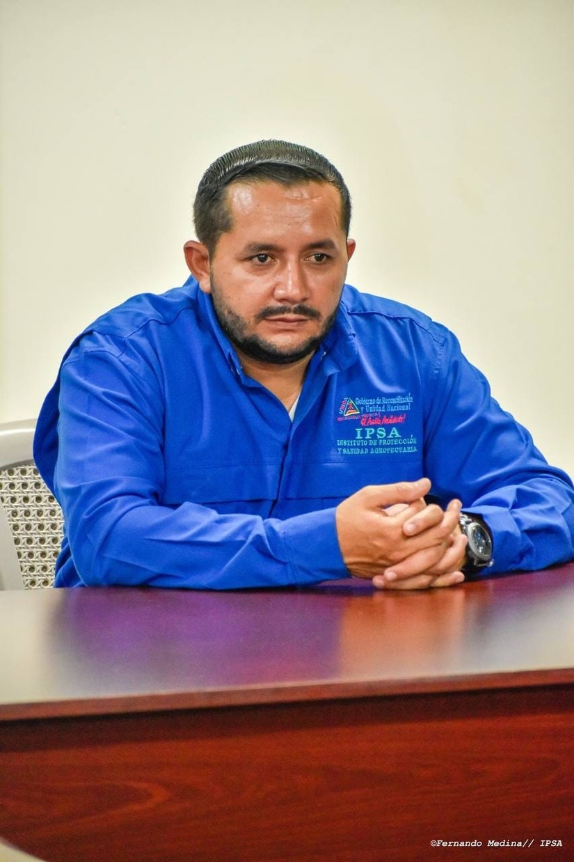 ipsa