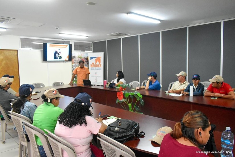 ipsa
