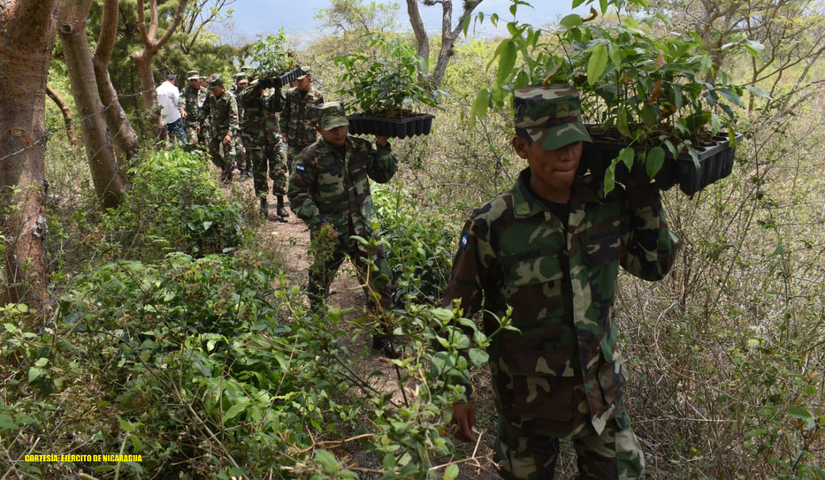 ejercito