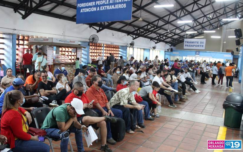 migracion