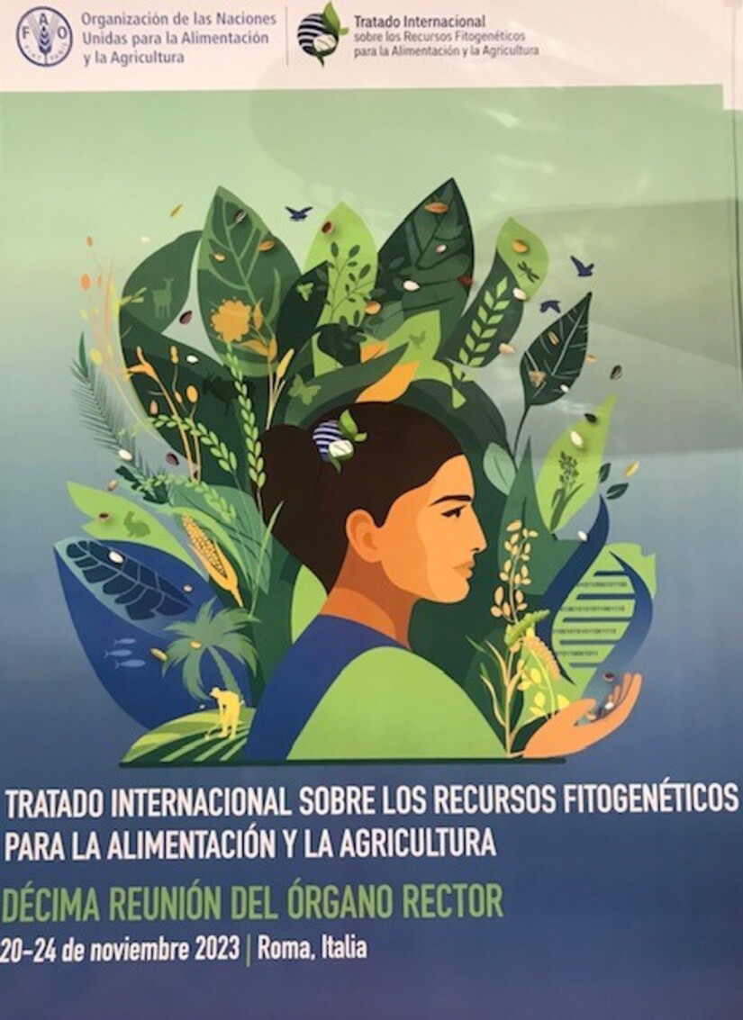 IPSA