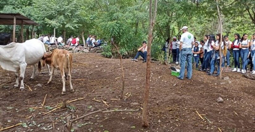 PRODUCCION