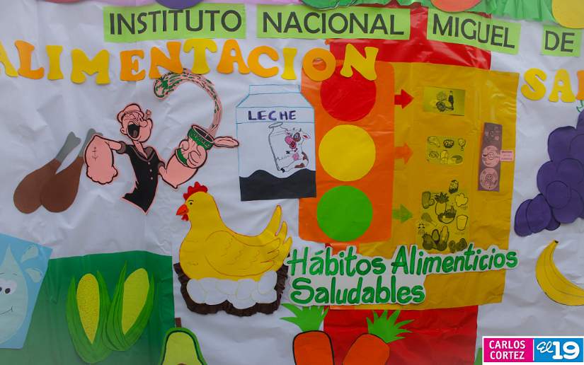 alimentos