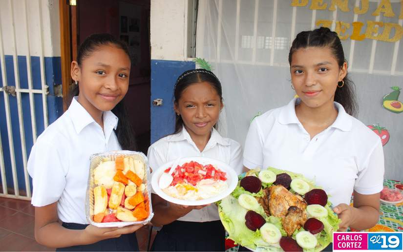 alimentos