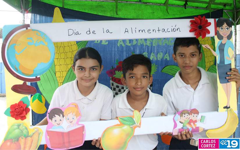 alimentos