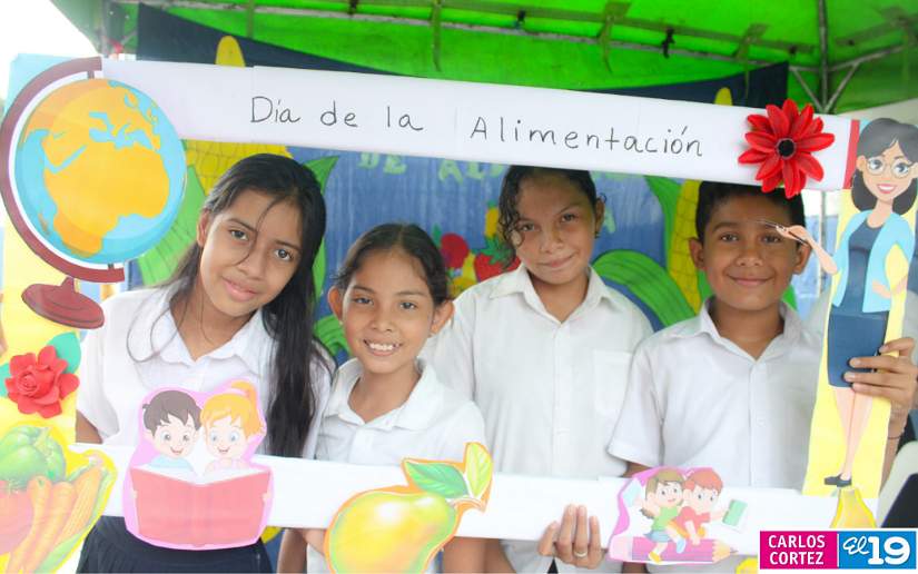alimentos