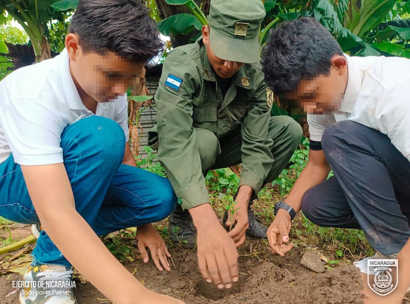 REFORESTACION
