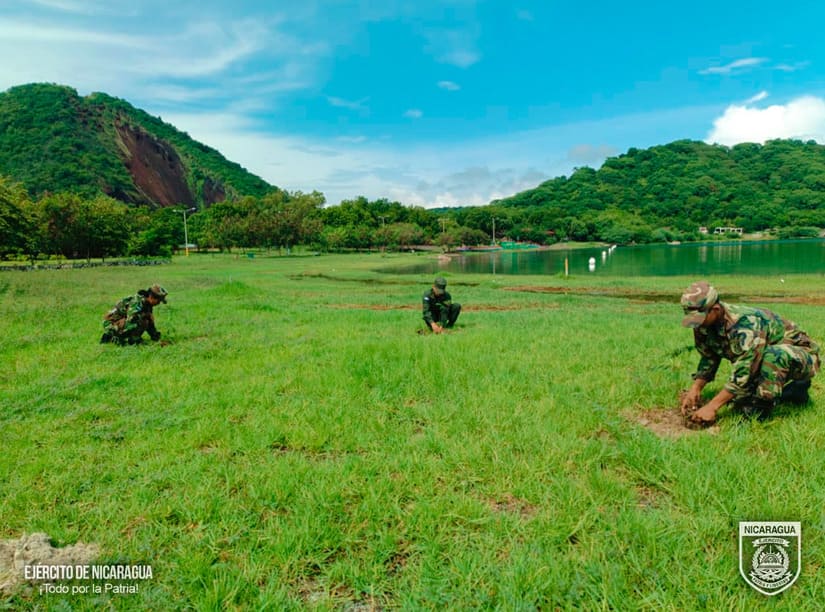 REFORESTACION
