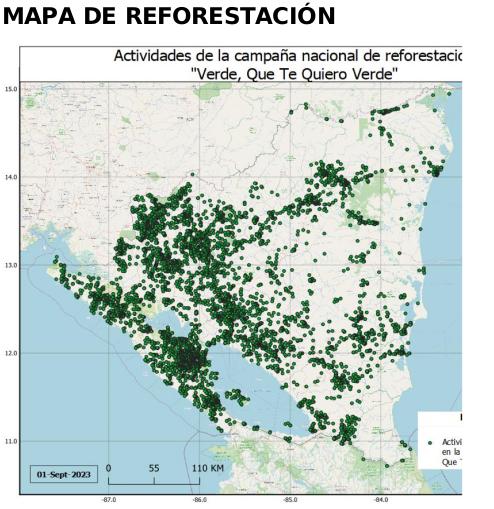 reforestacion
