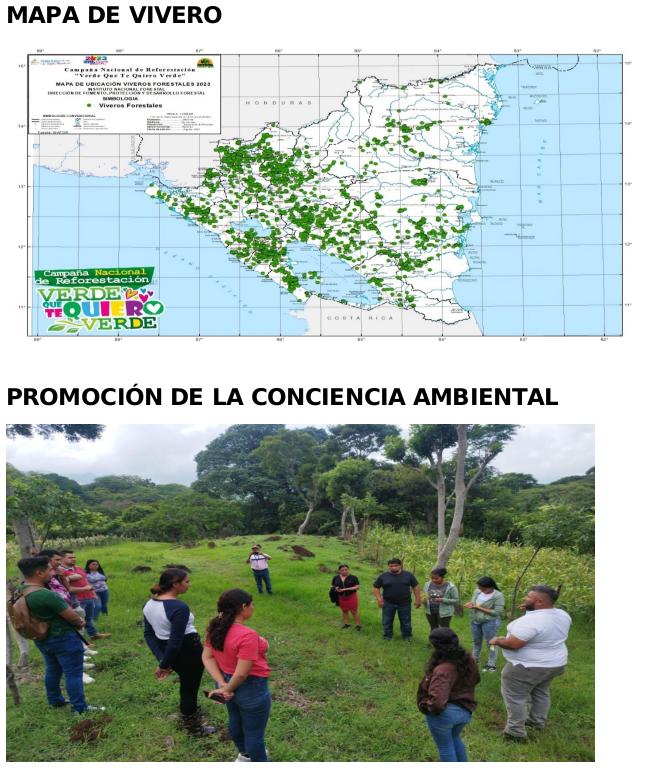 reforestacion