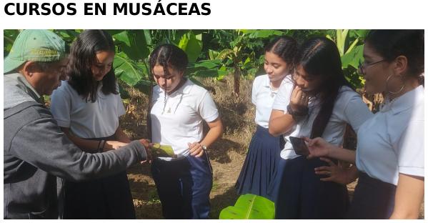 curso