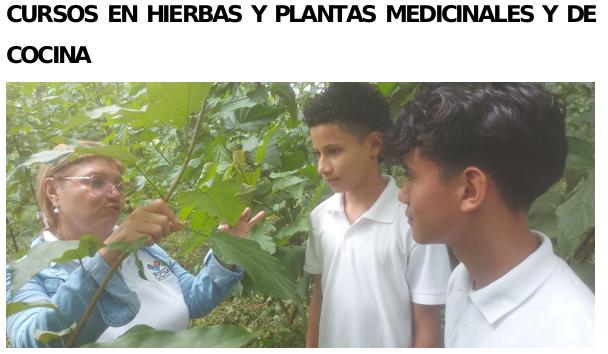 curso