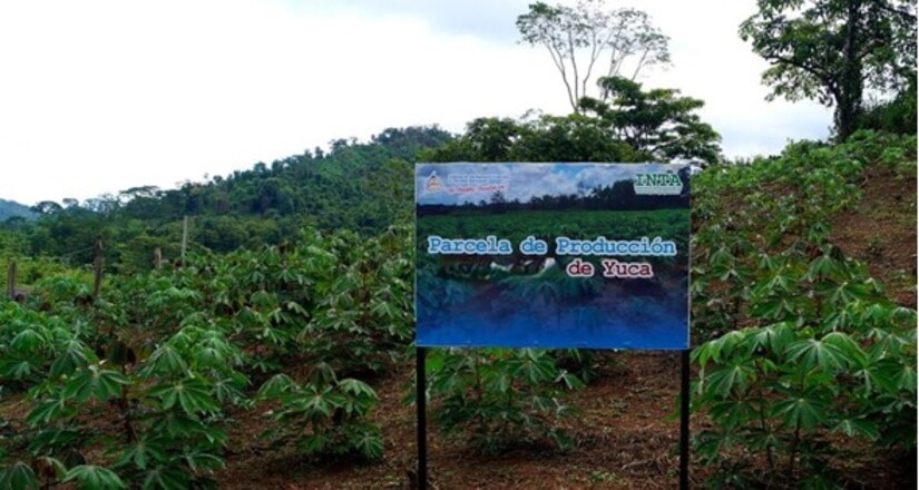finca