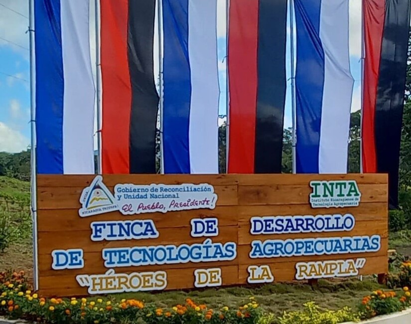 finca