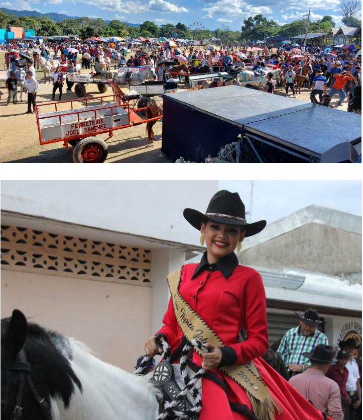 jalapa
