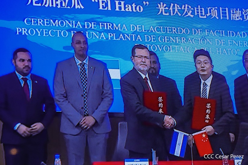 PLANTA