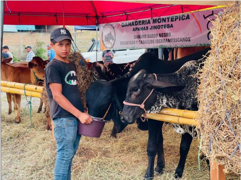 vaqueros