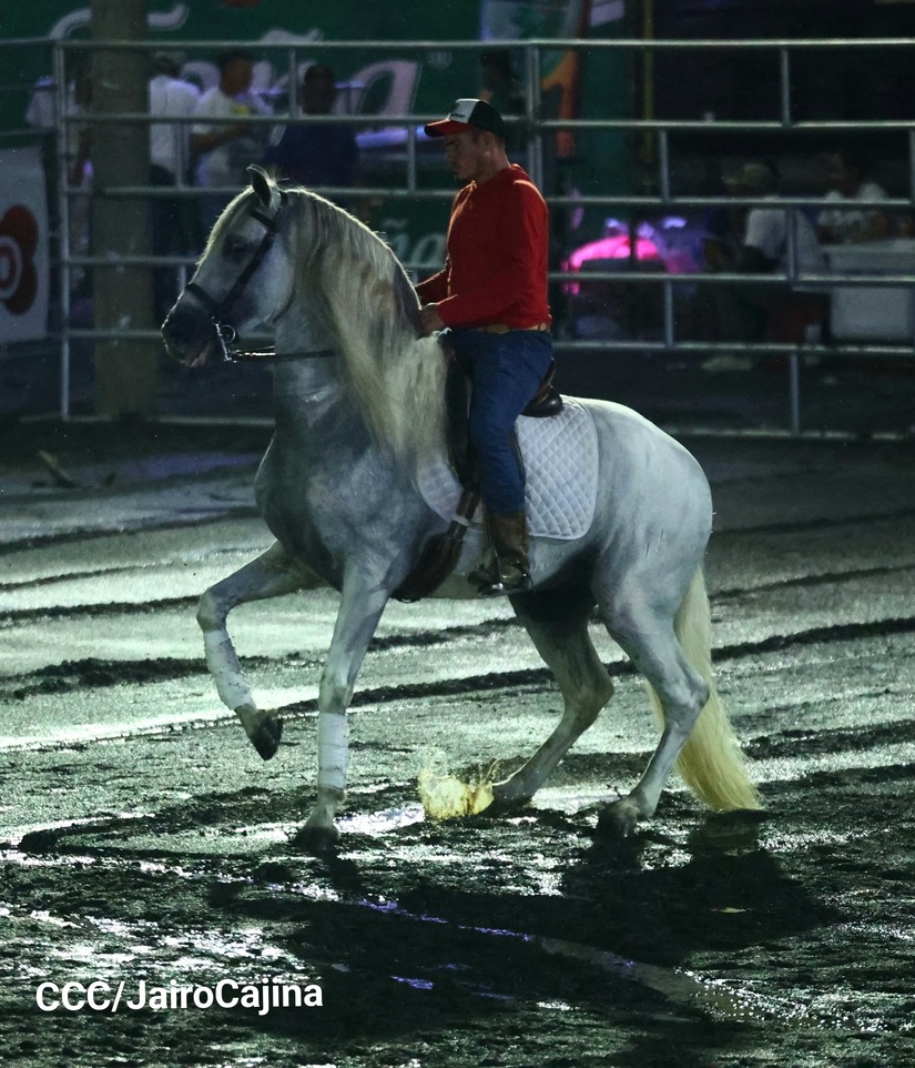 RODEO