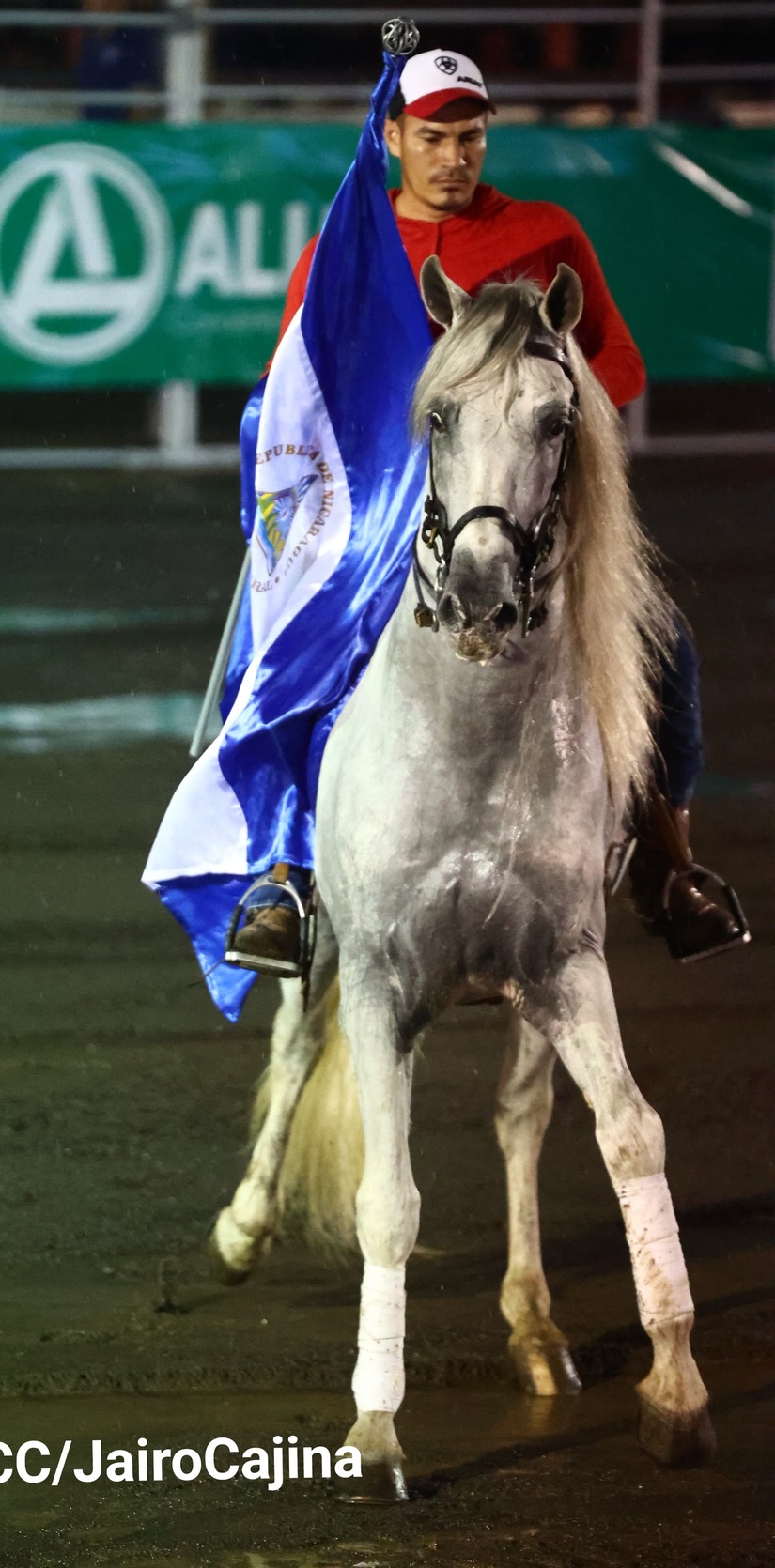 RODEO