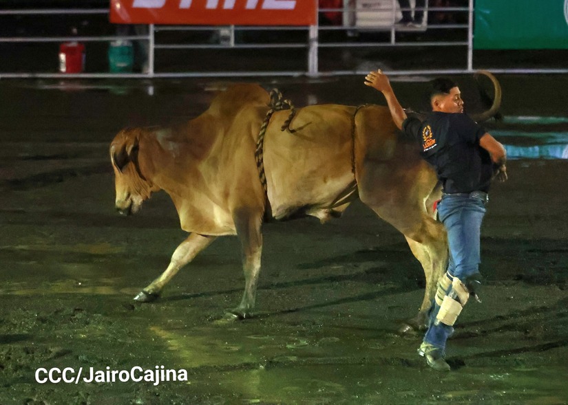 RODEO