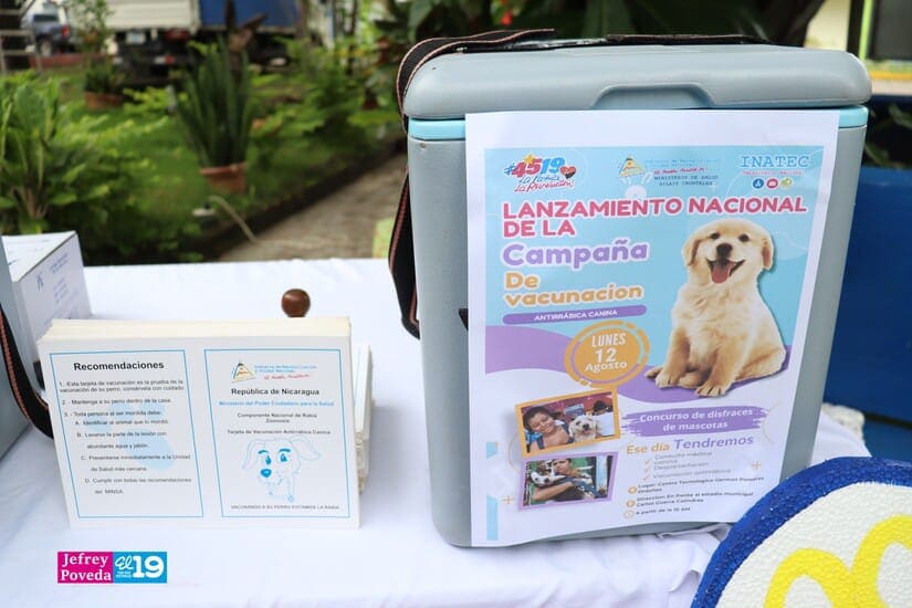 PERROS