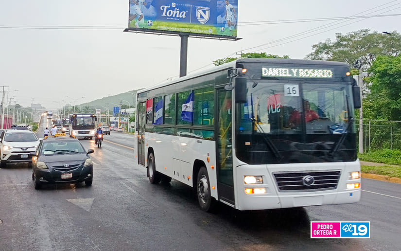 BUSES