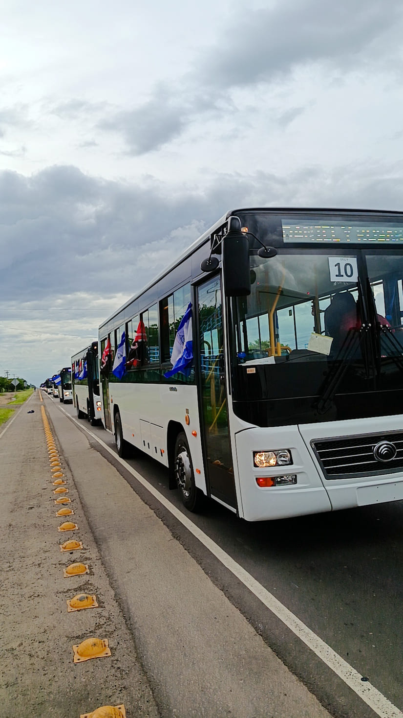 BUSES