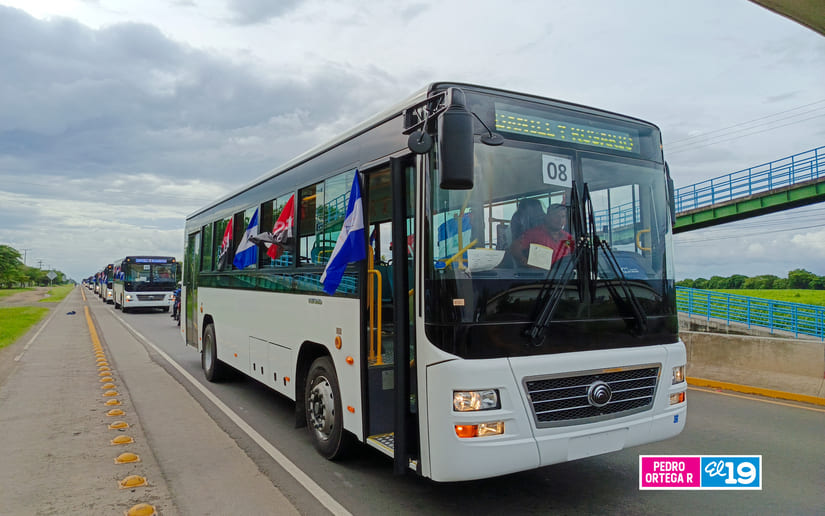 BUSES