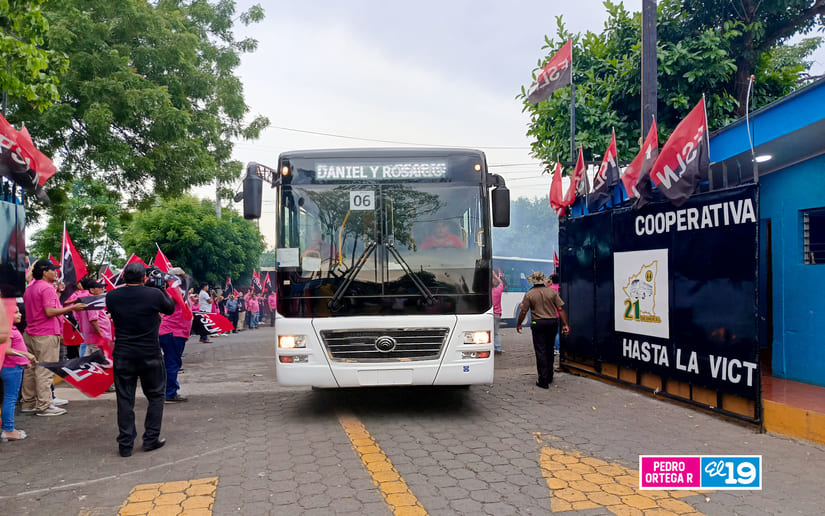 BUSES