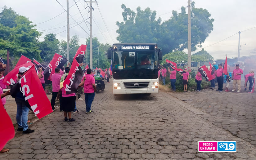 BUSES