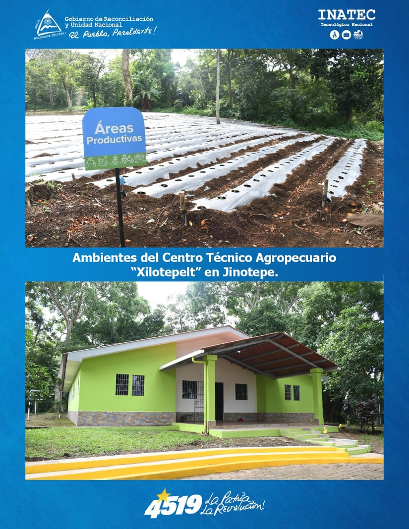 NOTA