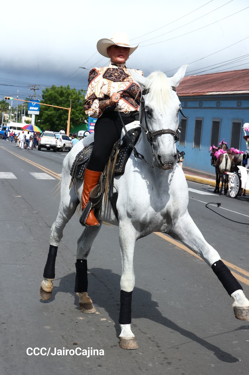 HIPICOS