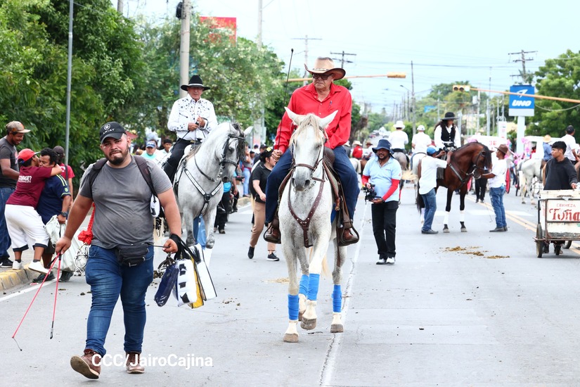 HIPICOS