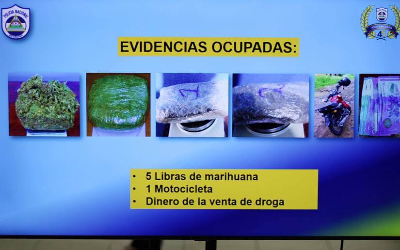 informe
