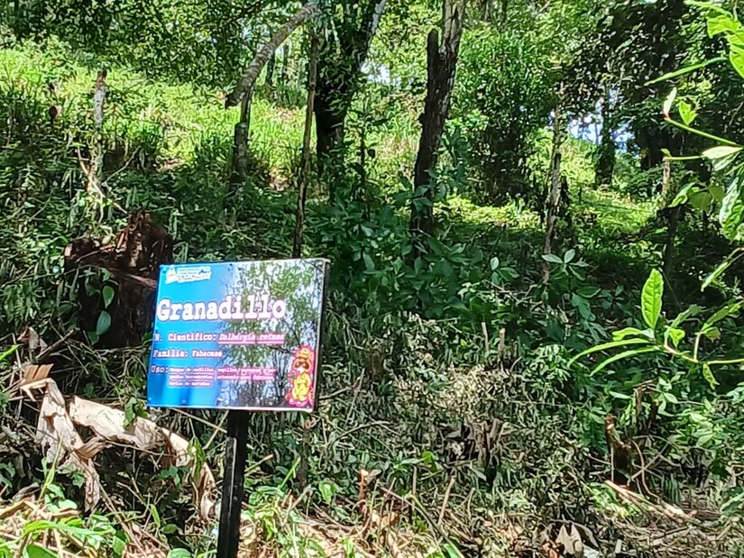 pancasan