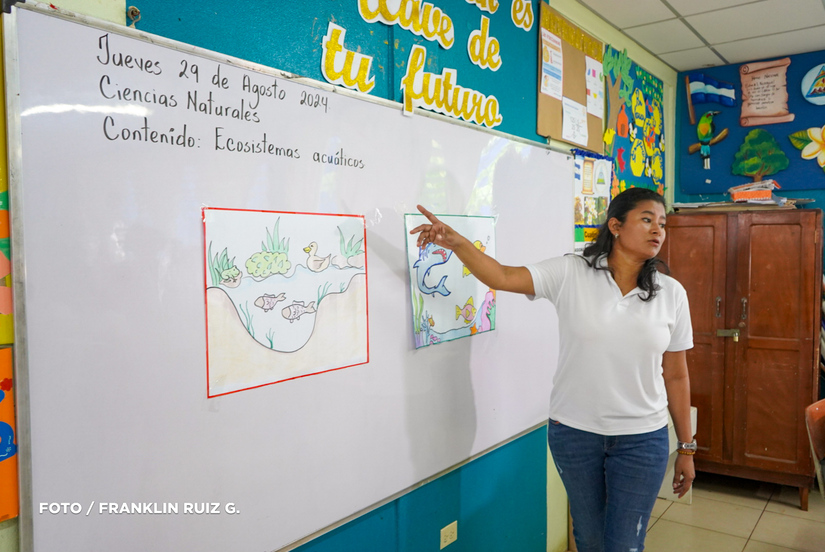 TELECLASES