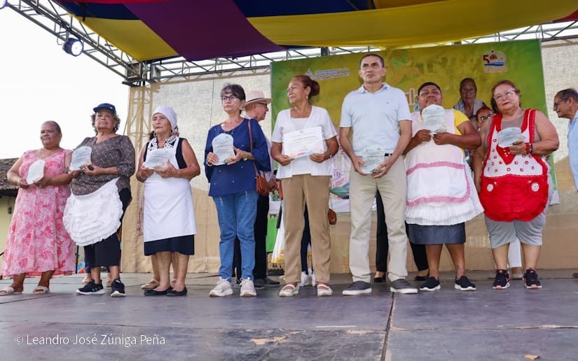 VIGORON10