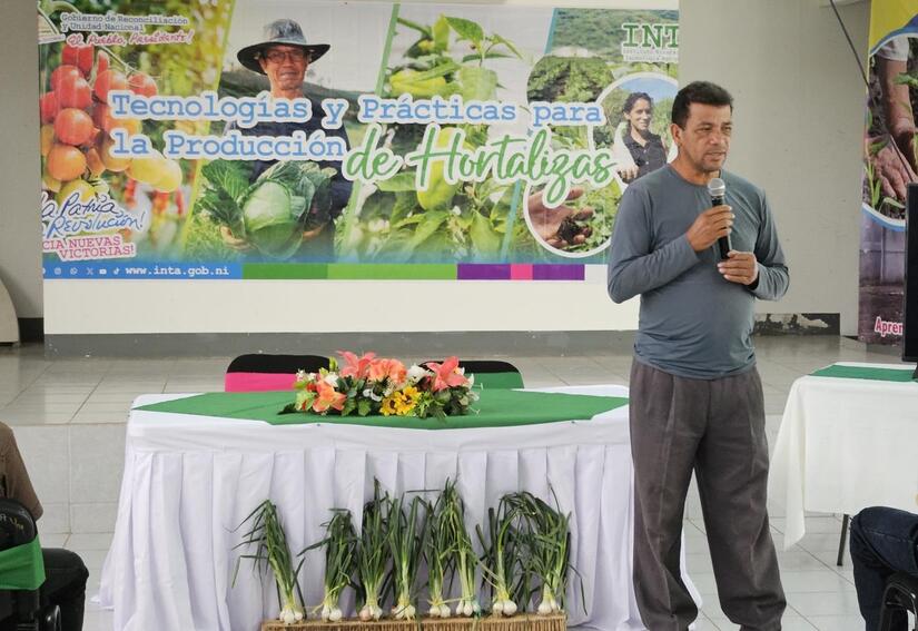 CEBOLLA4
