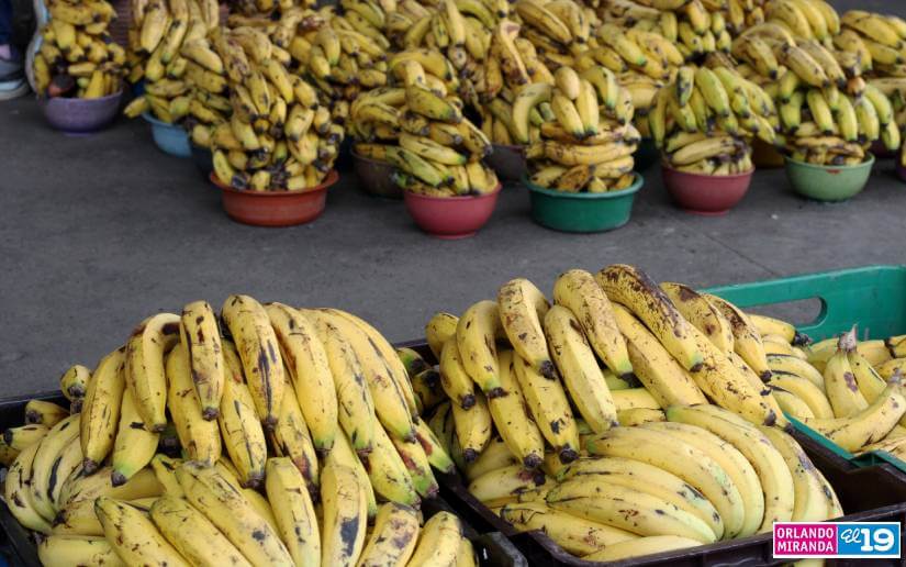 MERCADO5