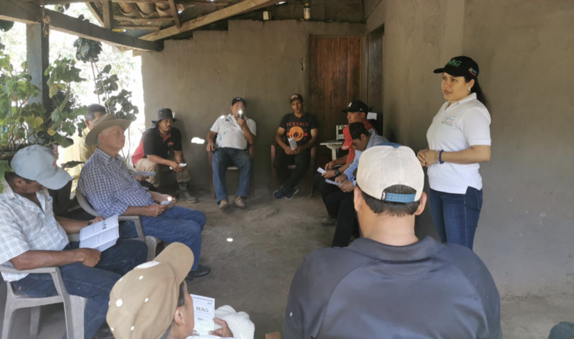PRODUCTORES-2