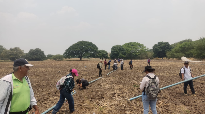 PRODUCTORES-3