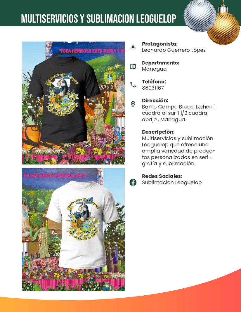 CATALOGO13