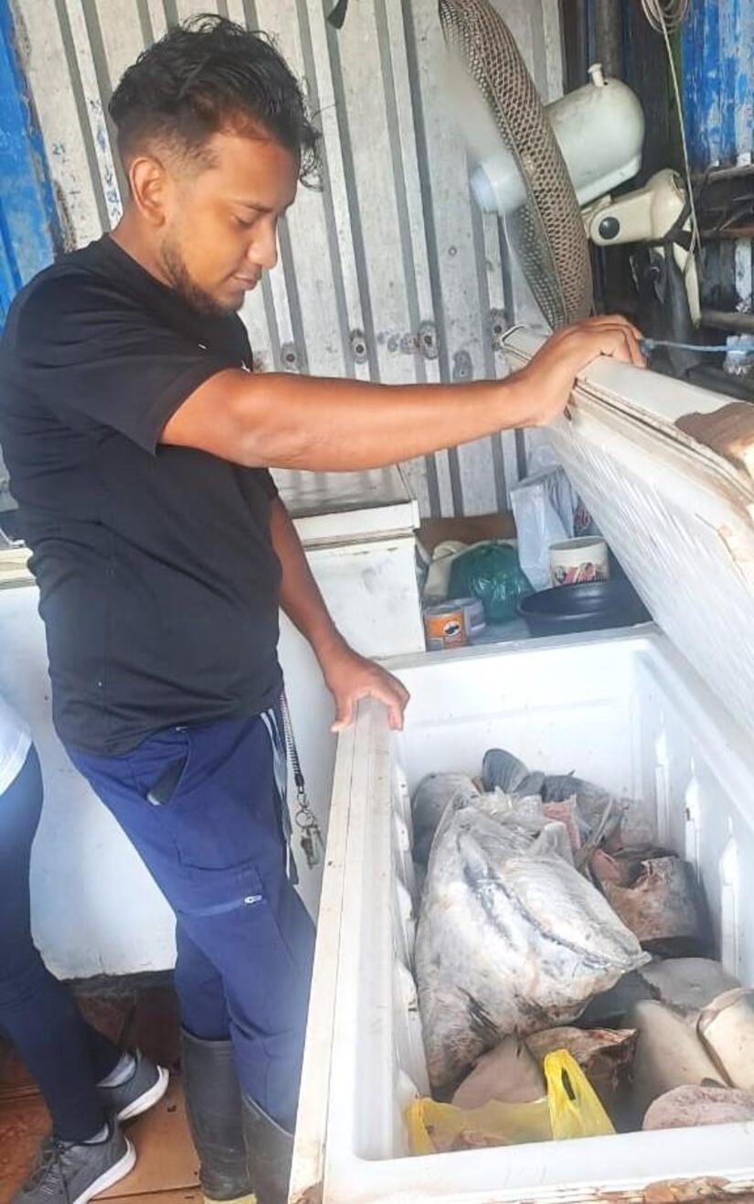 PESCA4
