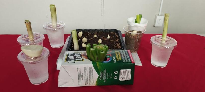 PRODUCTORES4